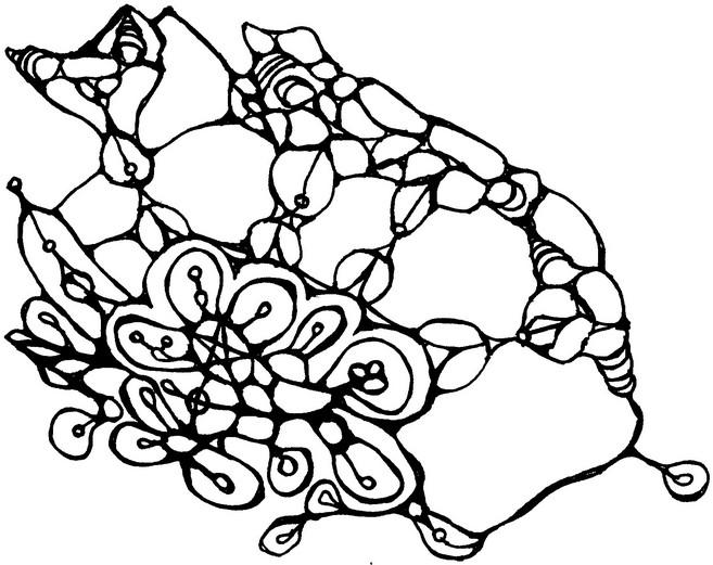 Star Doodle
