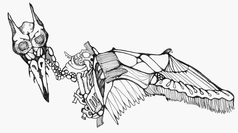 Best of 2009: Bird May Be Carcass