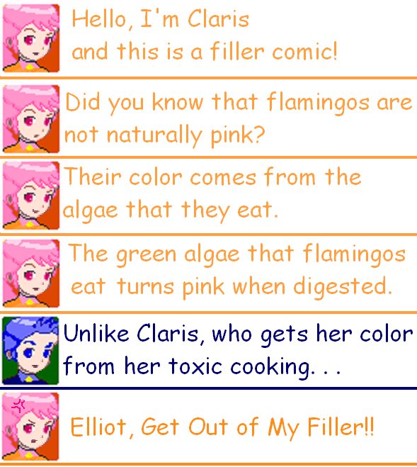 Filler - Flamingos