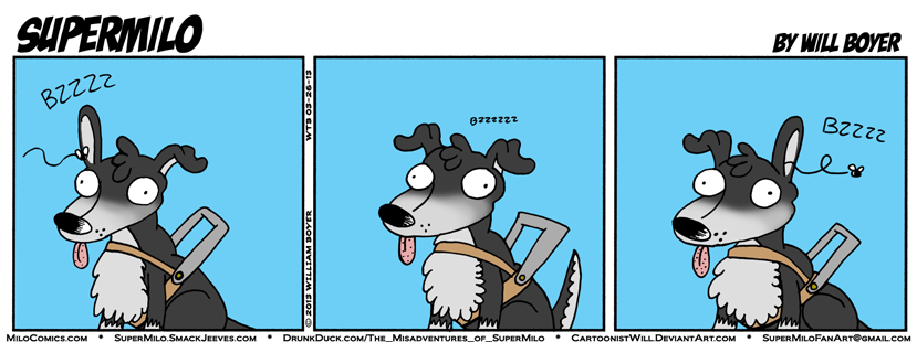 #50 - Lucky and Fly
