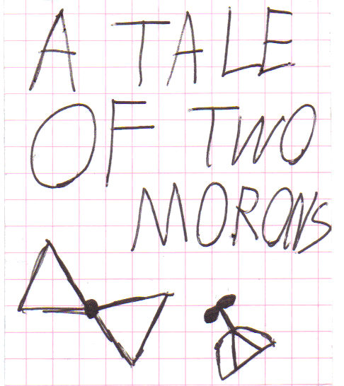 Book 2- A Tale Of Two Morons