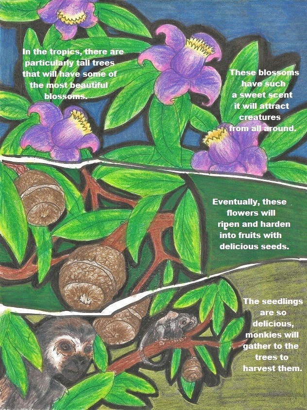 page 362