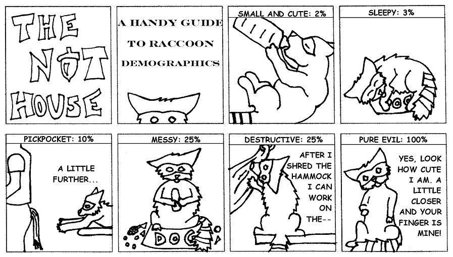 A Handy Guide to Raccoons