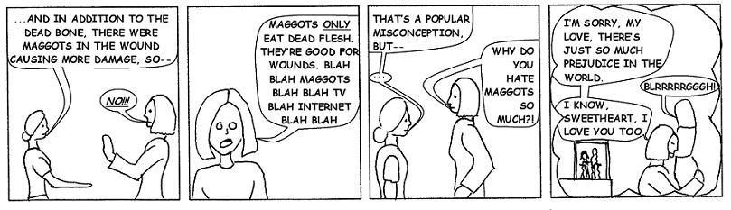 Maggots