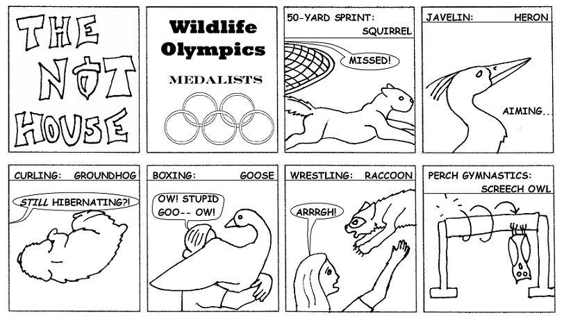 Wildlife Olympics