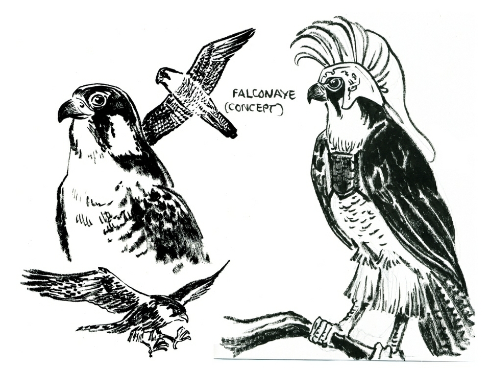 Hiatus Sketch 5 - Peregrine studies and Falconaye concept