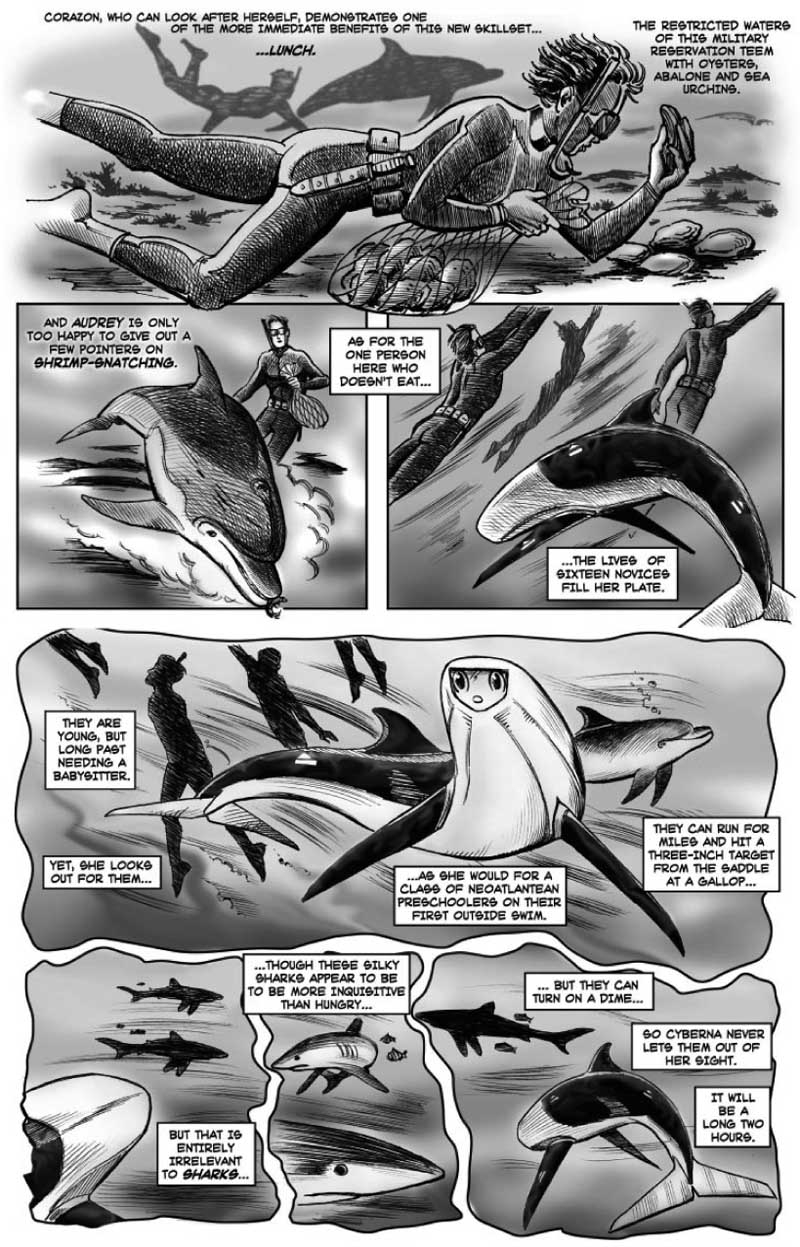 Page 11-8
