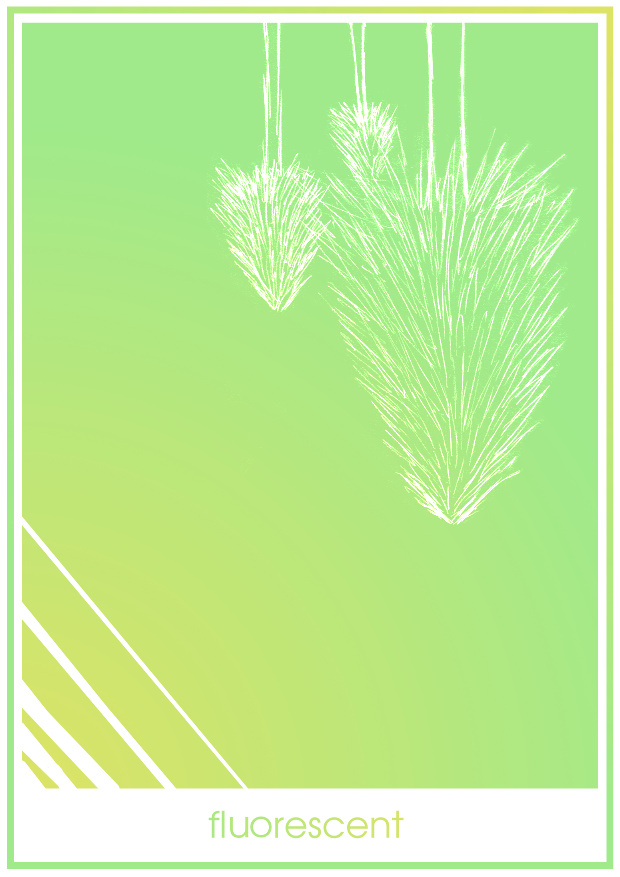 Chapter 2 - Fluorescent