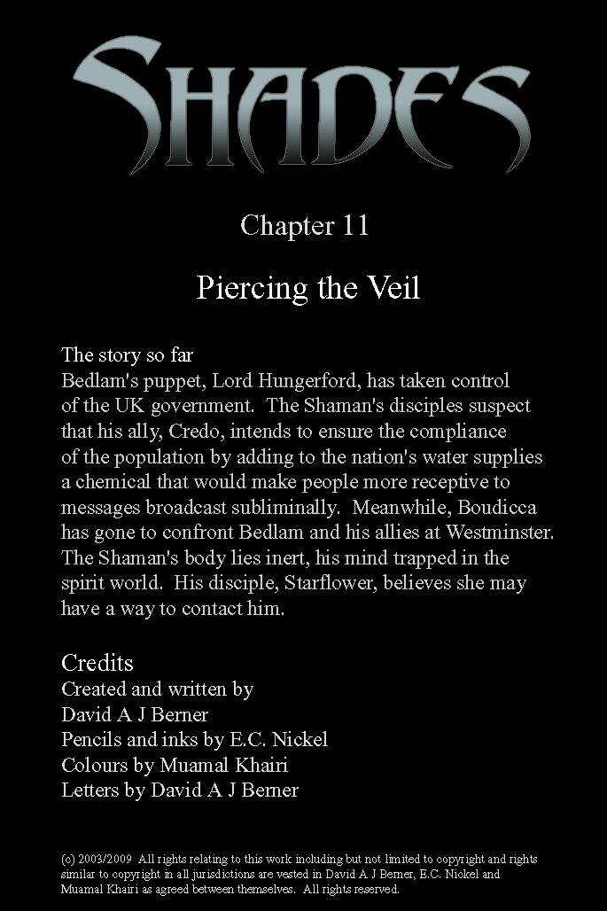 Chapter 11 - Piercing the Veil