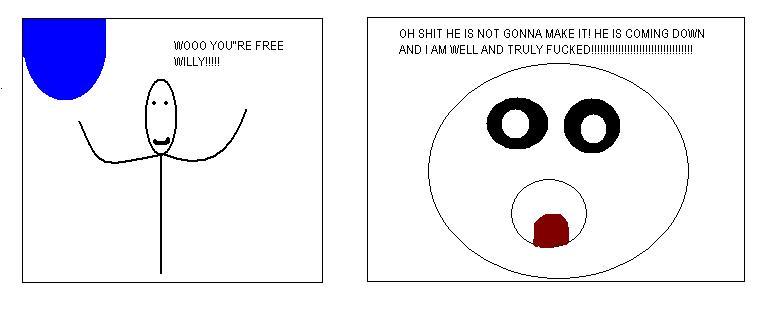 Please Don't Free Willy