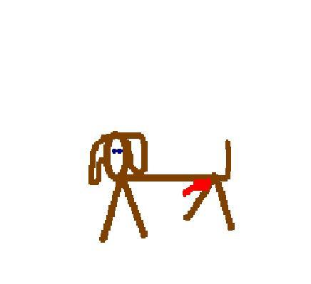 that's a puppy, a guy puppy