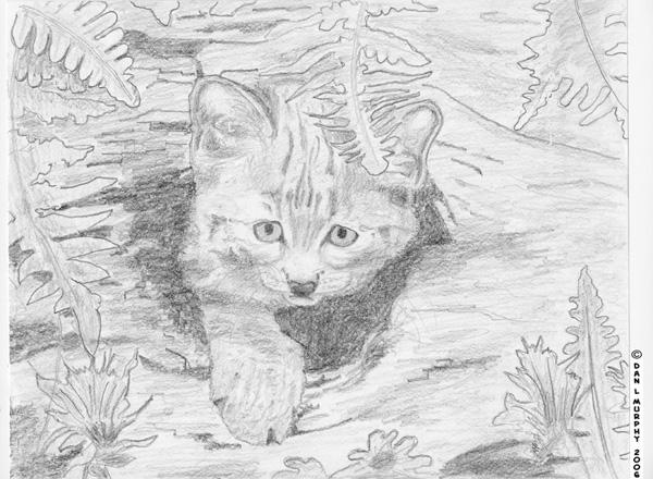 Cat Log (Pencil)