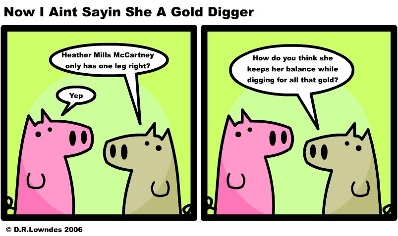 Now I Aint Sayin She a Gold Digger