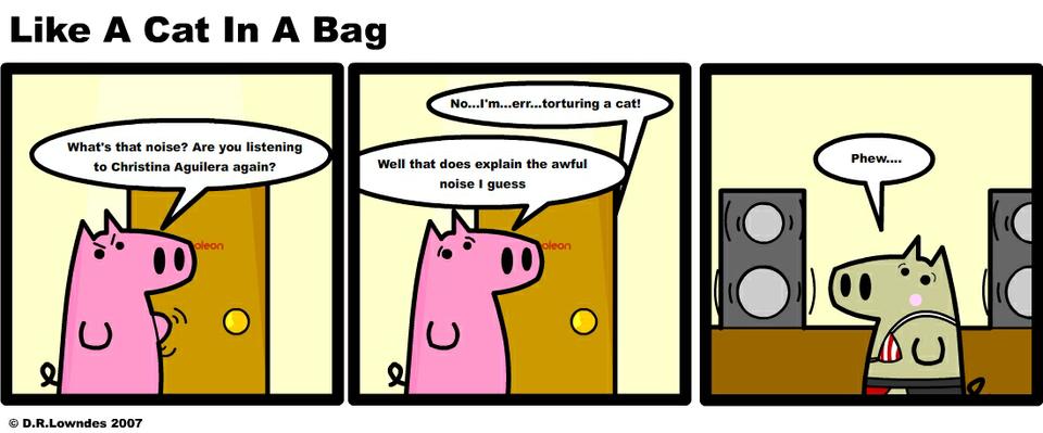 Like A Cat In A Bag
