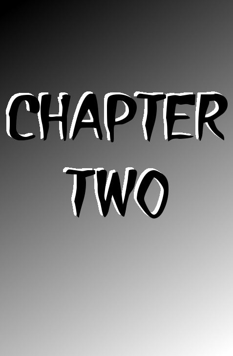 Chapter 2