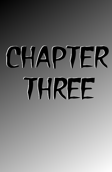 Chapter 3