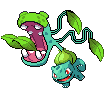 Bulbasaur Fly Trap