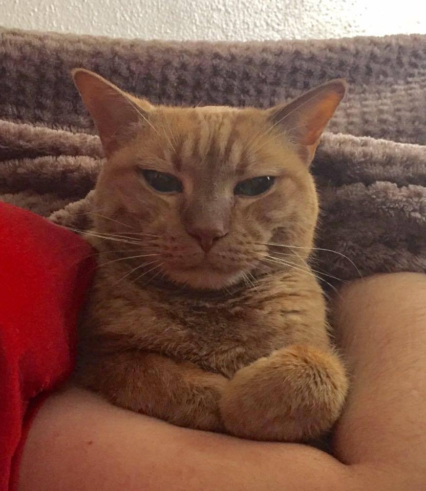 Hello! And Happy 4th!