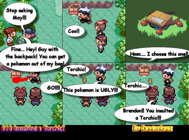 #10-Insulting A Torchic!