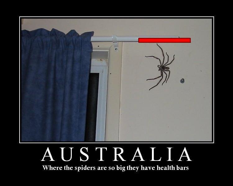 Big spiders.