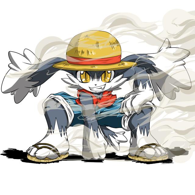 Klonoa Luffy costume *Filler*