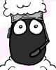 Betty The Ninja Sheep