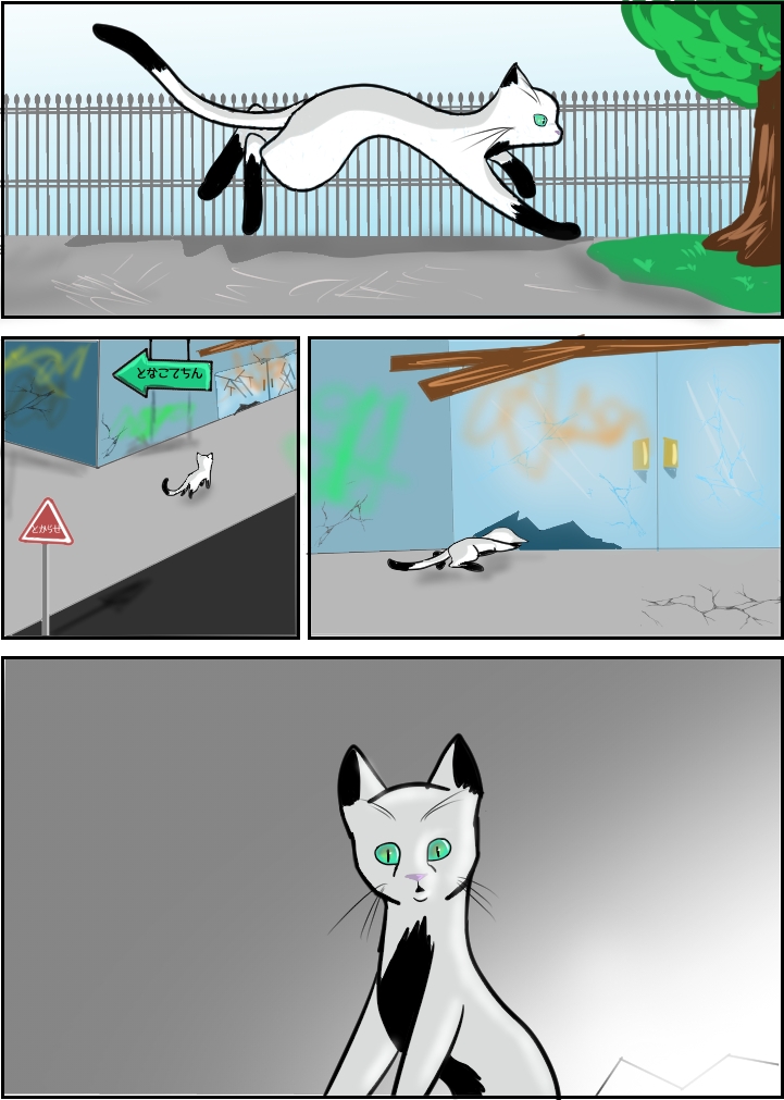 iCat Page 8