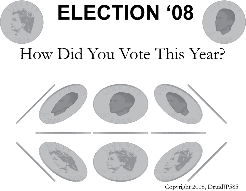 How did you vote this year?