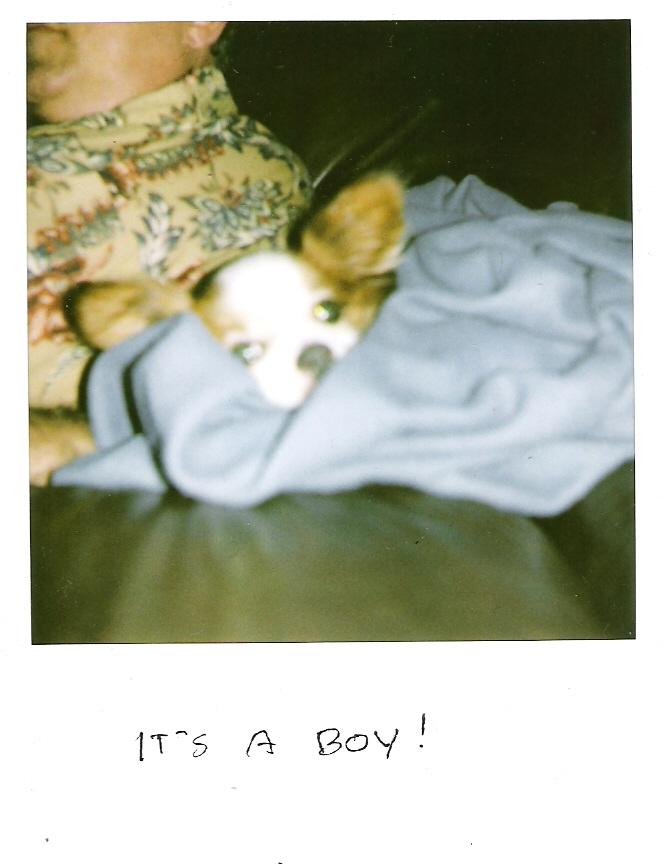 It's a boy!