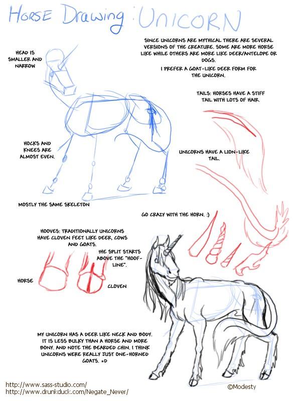Drawing a Horse by Modesty 4