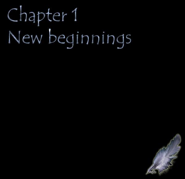 Chapter 1 New Beginnings