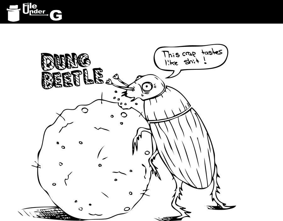 dung beetle