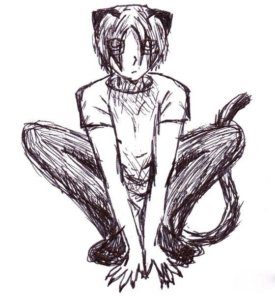 Catboy