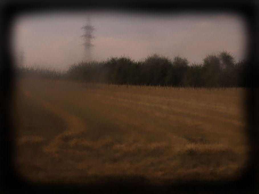 041. Indifference
