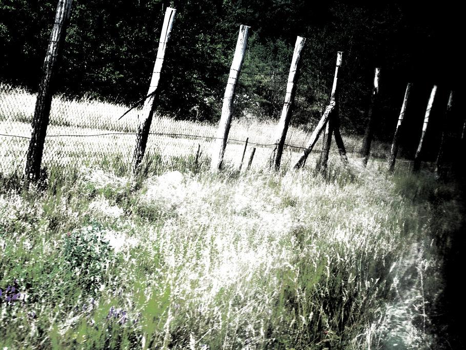 042. The road calling
