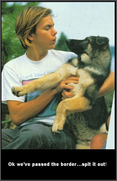 River Phoenix 002