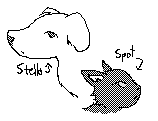 Spot and Stella