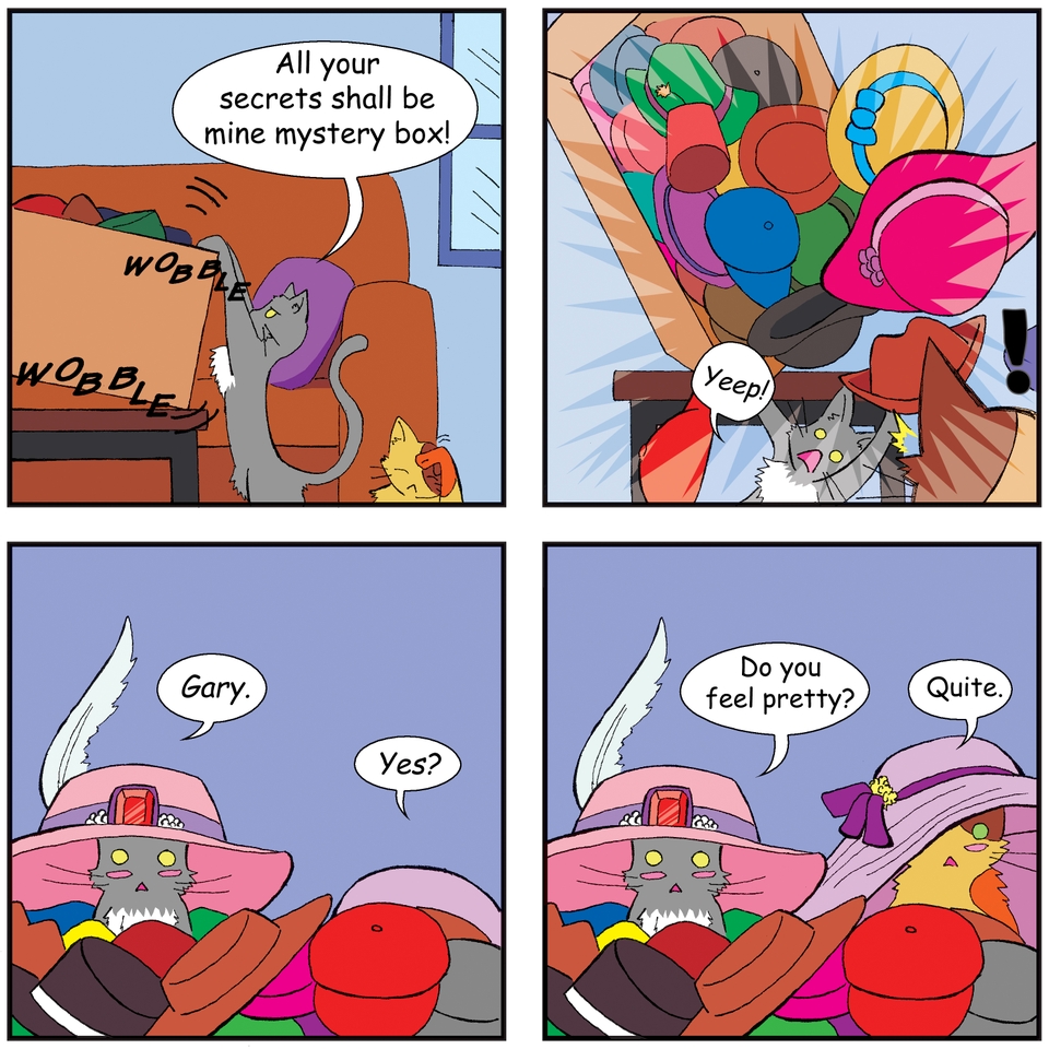 Hats And Cats