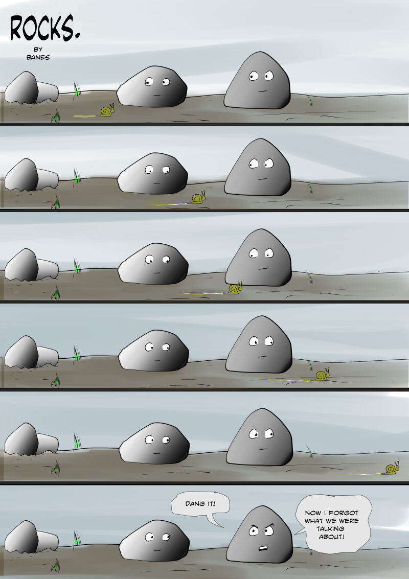 Rocks. Snail.