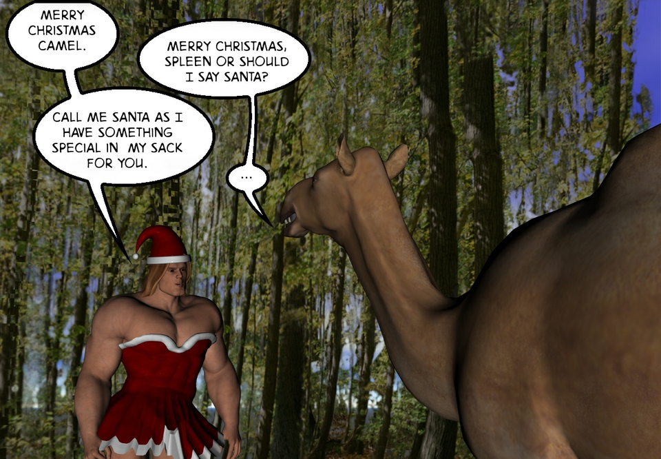 Merry Xmas spleen