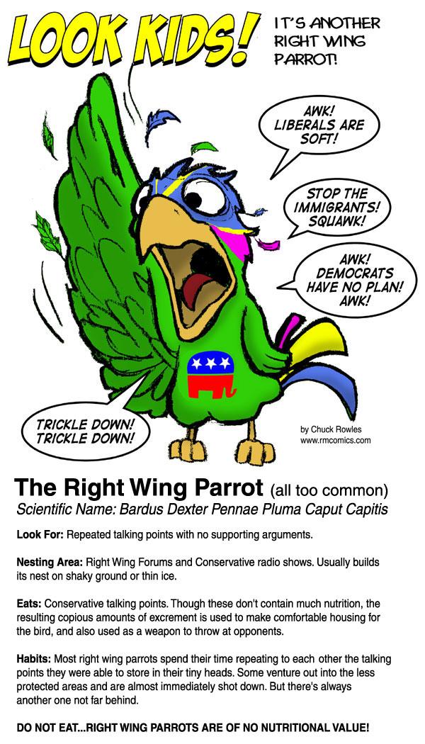 Right wing Parrot