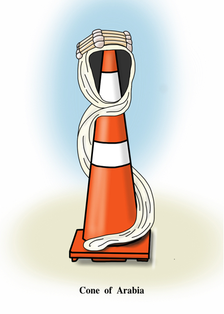 The Little Books of Cones #21