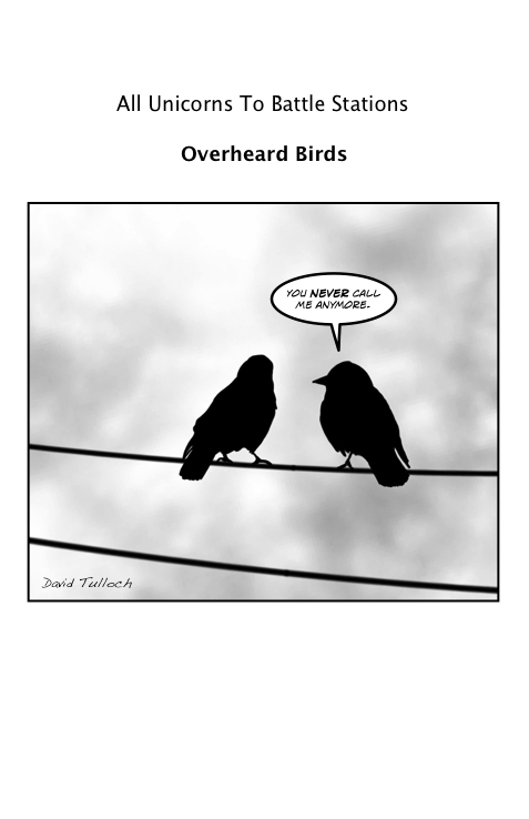 Overheard birds #3