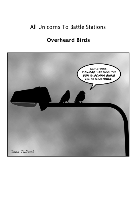 Overheard birds #1