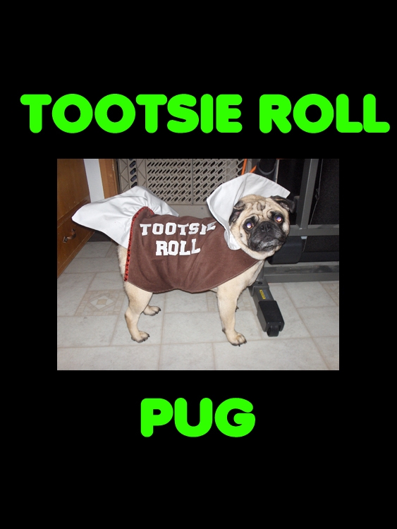 Tootsie Roll Pug