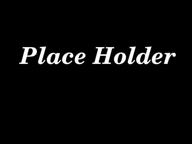 Place Holder