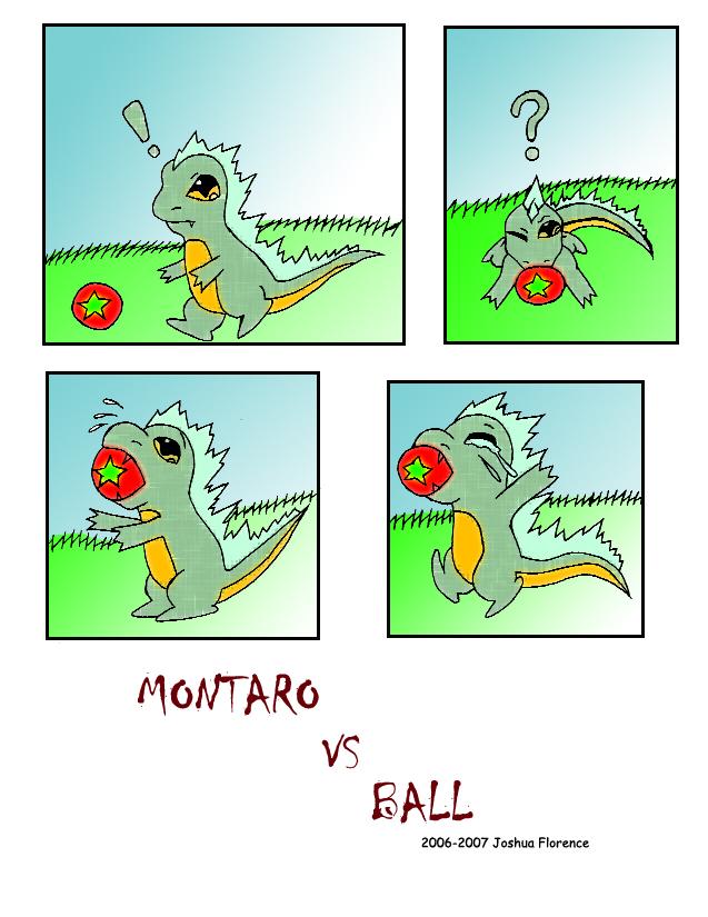 Montaro1