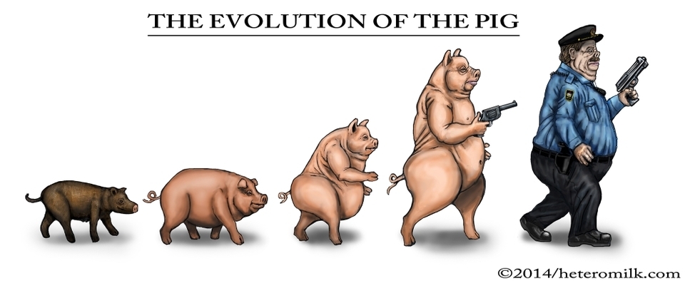 The Evolution of the Pig