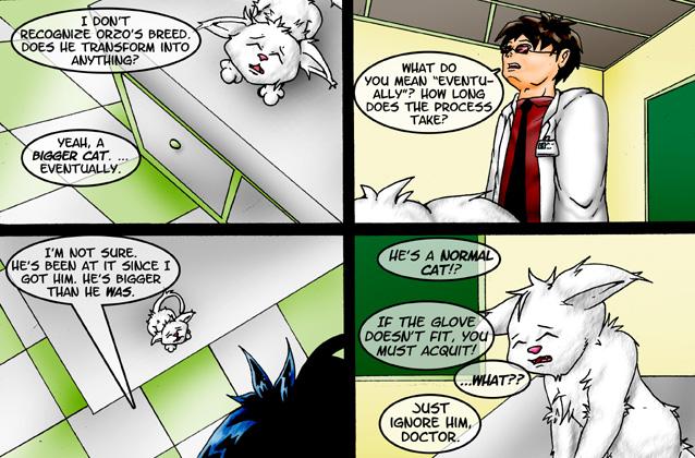 #756 The Vet: Transformations