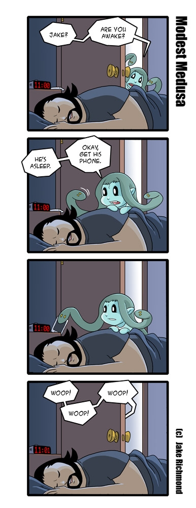 Burglar